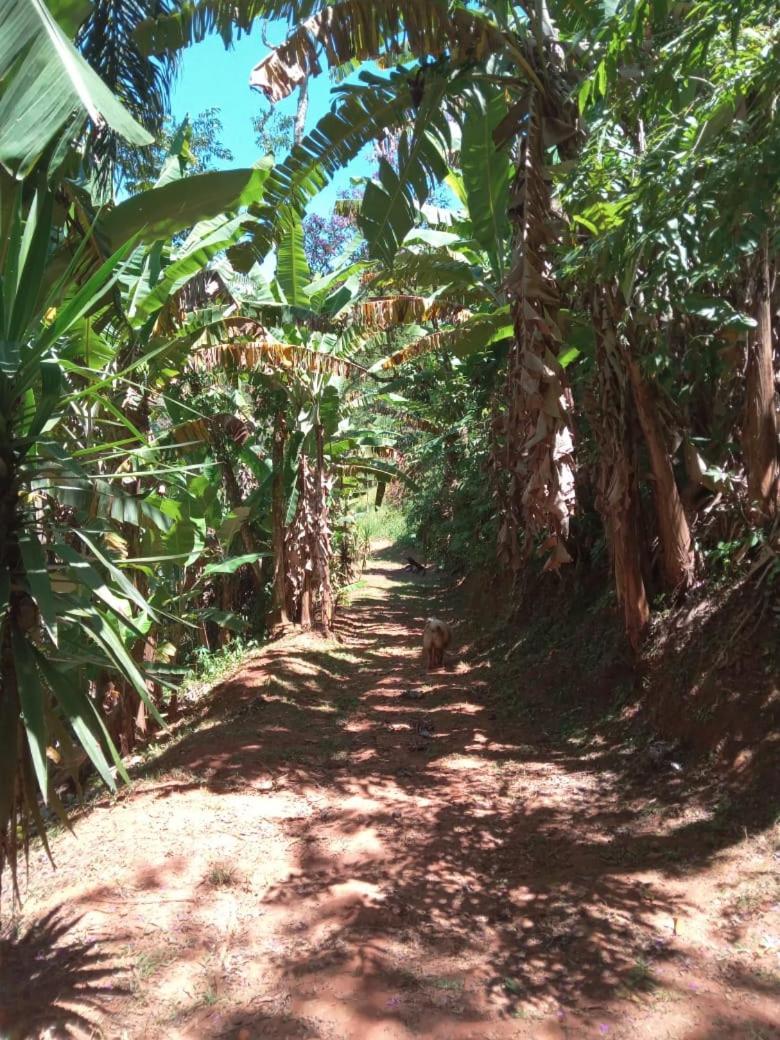 Pousada Casa Mato Taubate Luaran gambar